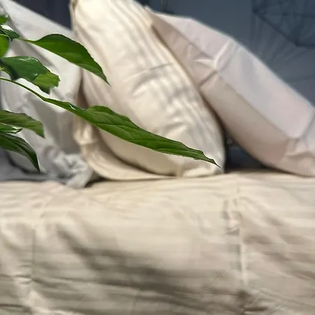 Com Banheiro Privativo No Centro De * Lisbona